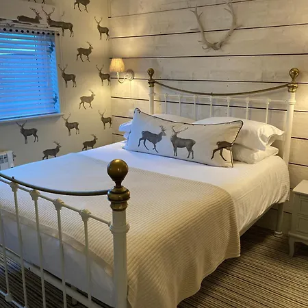 Camelot Castle Hotel